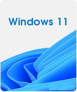 windows 11 license key